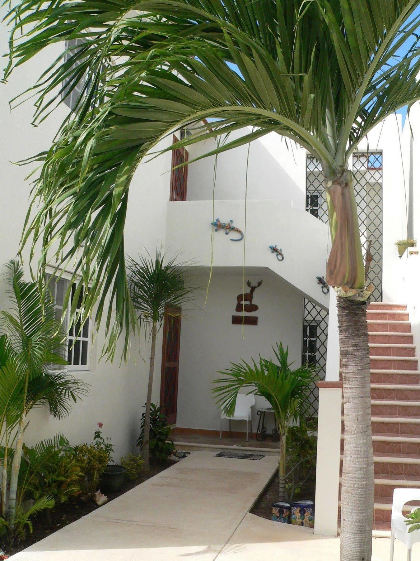 איסלה מוחרס Villas Keh מראה חיצוני תמונה